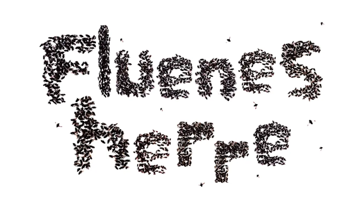 Fluenes herre