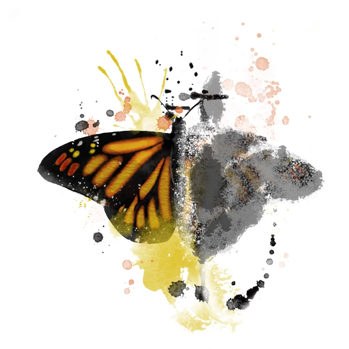 Virkelig visdom er å vite hva en ikke vet