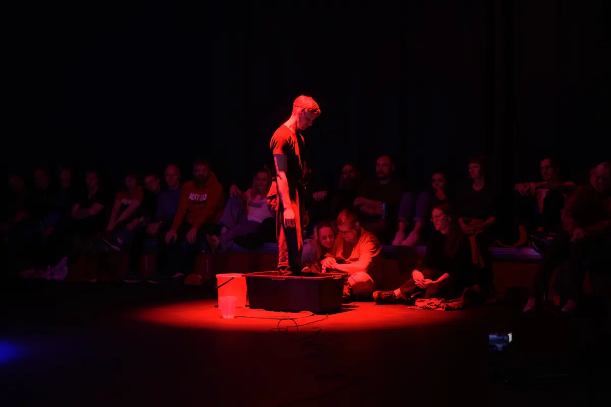 Transitions/ Distortions