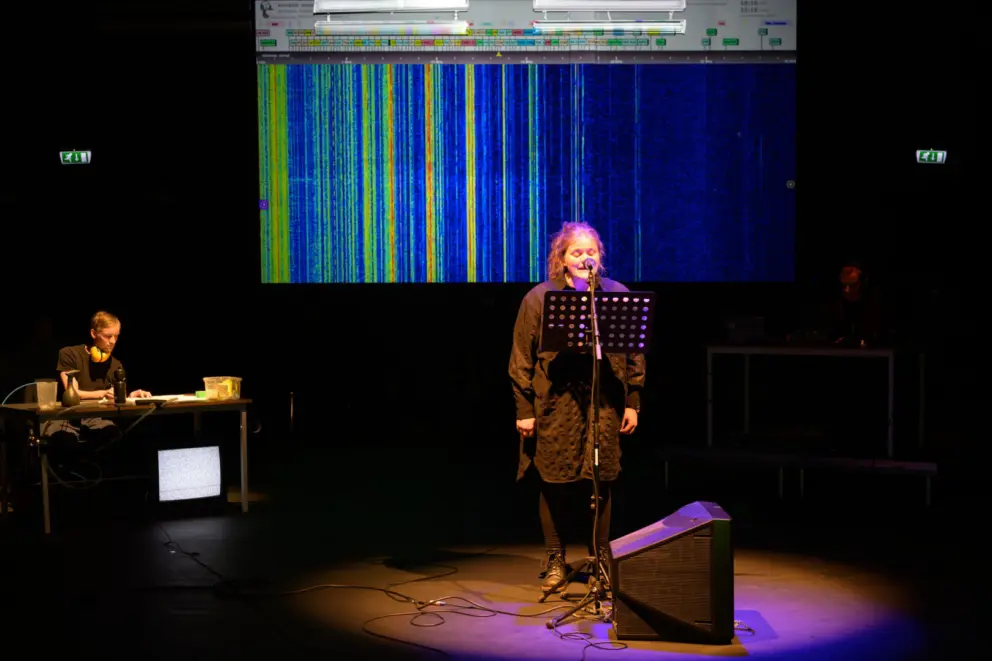 Transitions/ Distortions