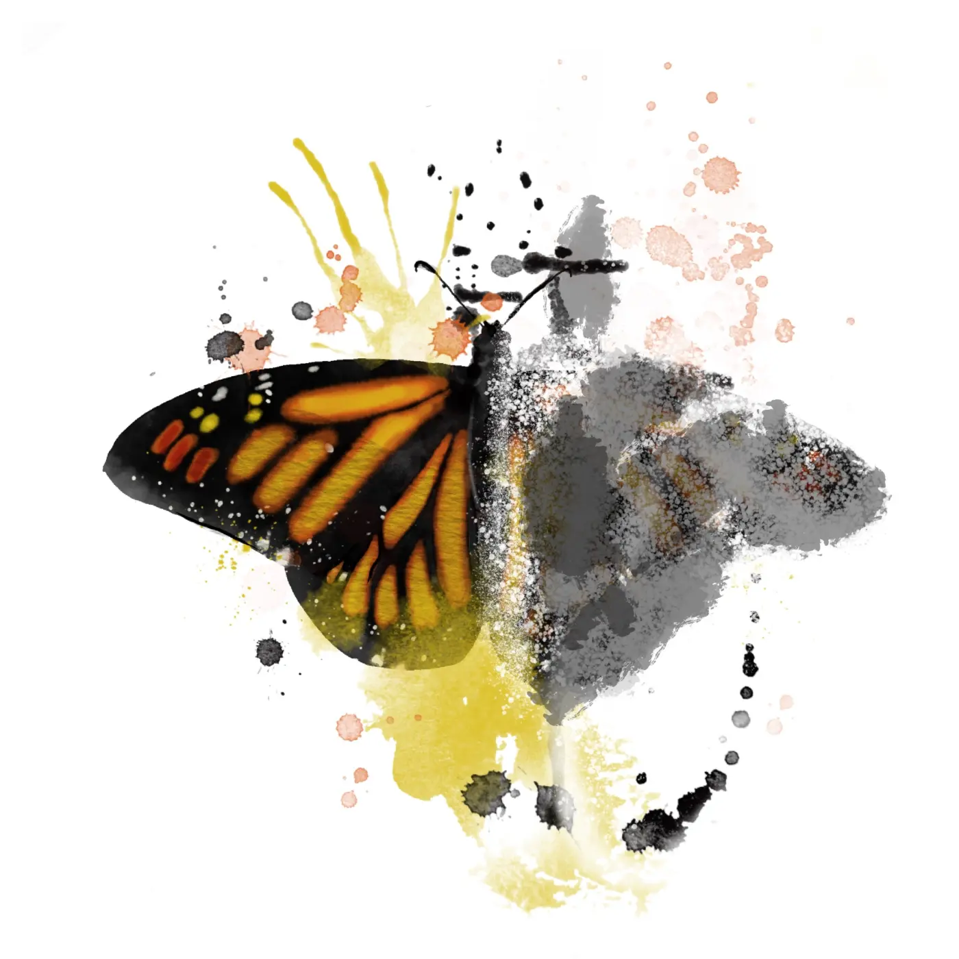 Virkelig visdom er å vite hva en ikke vet